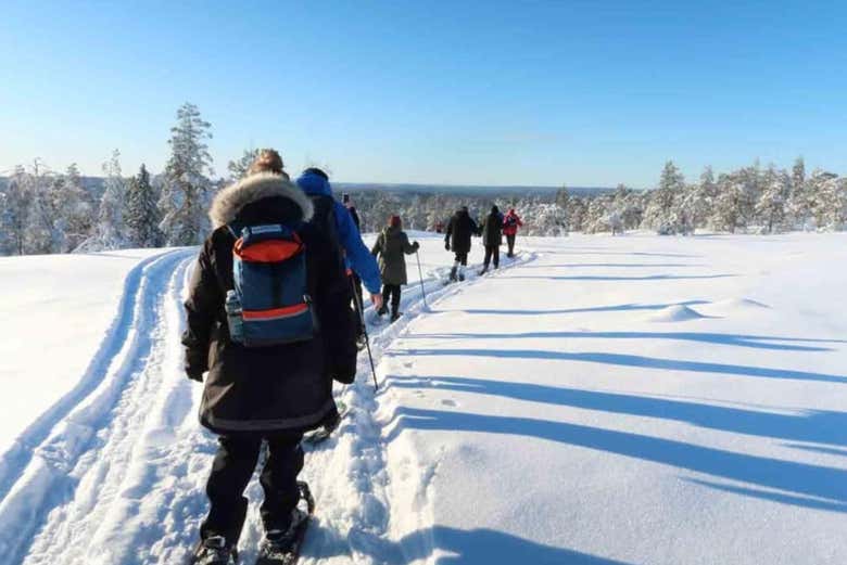 Paseo con raquetas de nieve por Luleå