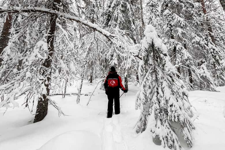 Paseo con raquetas de nieve por Luleå
