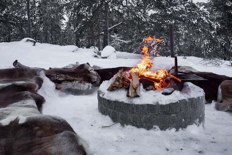 Paseo con raquetas de nieve por Luleå
