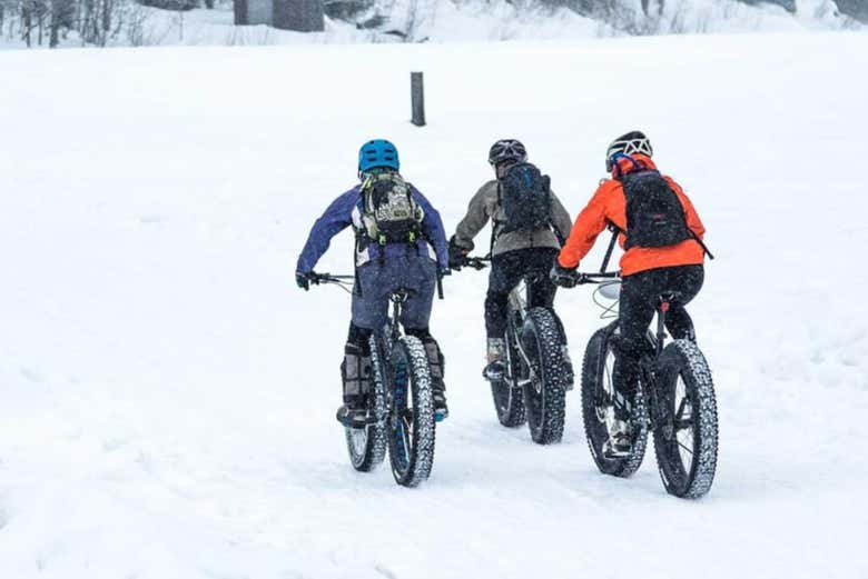 Alquiler de fatbike en Luleå