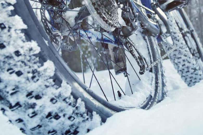 Alquiler de fatbike en Luleå