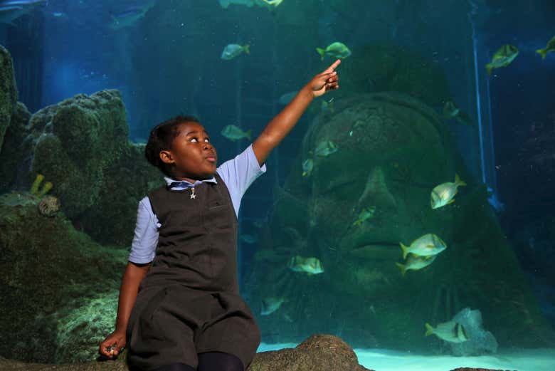 Entrada a SEA LIFE® Manchester