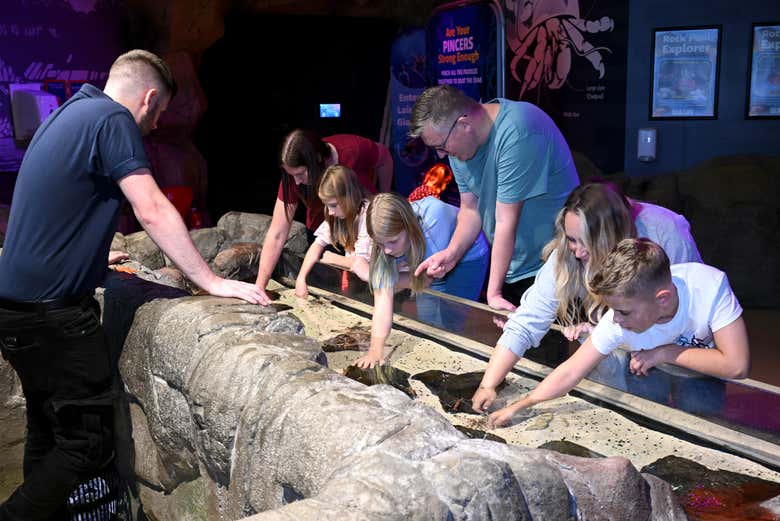 Entrada a SEA LIFE® Manchester