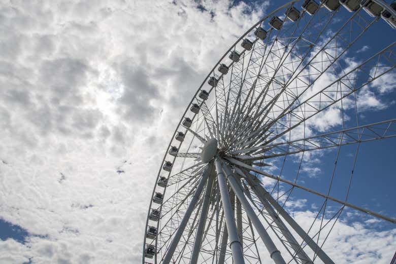 Excursión a las Cataratas del Niágara + SkyWheel + Espectáculo nocturno