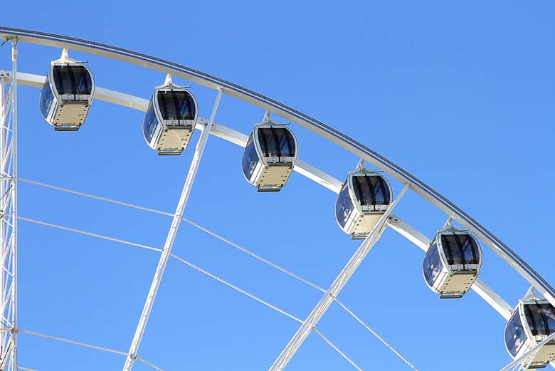 Excursión a las Cataratas del Niágara + SkyWheel + Espectáculo nocturno