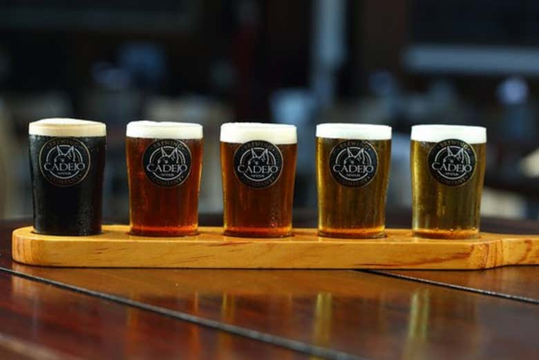 Visita a la cervecería Cadejo