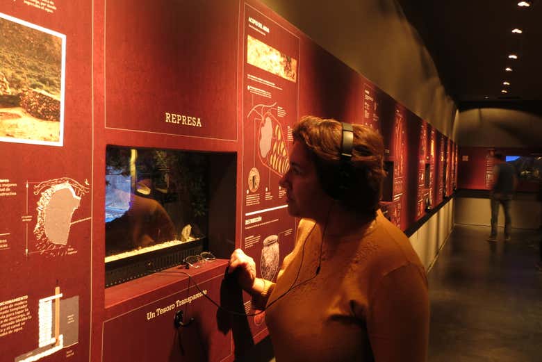 Excursión a las ruinas de Quilmes + Visita a las bodegas de Tucumán