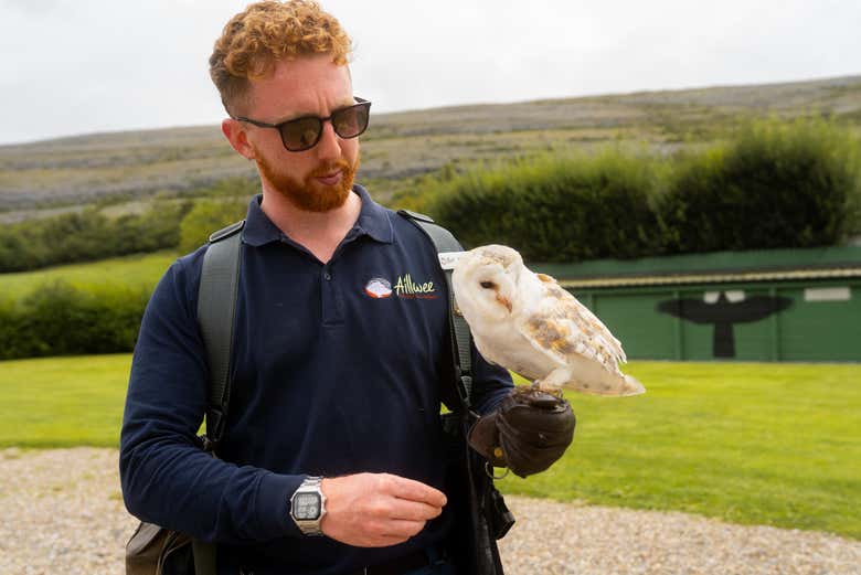 Visita a la cueva de Aillwee + Centro de Aves Rapaces del Burren