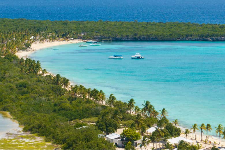 Excursión a la isla Catalina