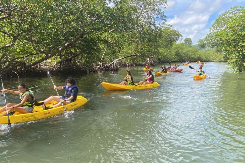 Senderismo y kayak por el Parque Nacional Los Haitises