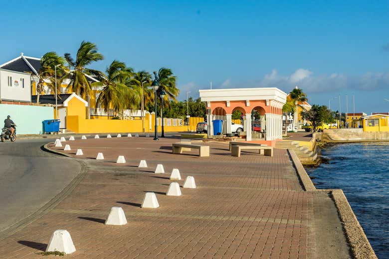 Tour en camión safari por Kralendijk
