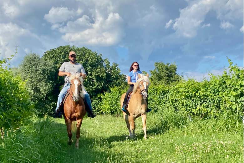 Paseo a caballo por Lazise + Cata de vinos