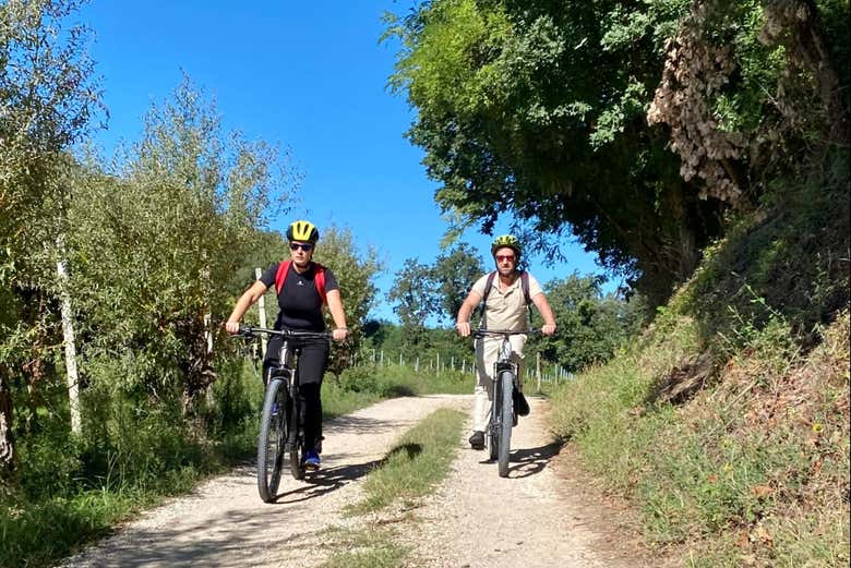 Tour en bicicleta eléctrica por Desenzano del Garda + Cata de vinos