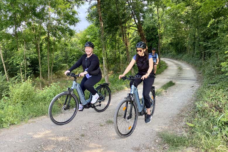 Tour en bicicleta eléctrica por Desenzano del Garda + Cata de vinos