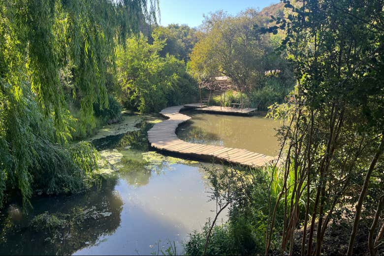 Excursión al Parque Tricao y Viña Undurraga