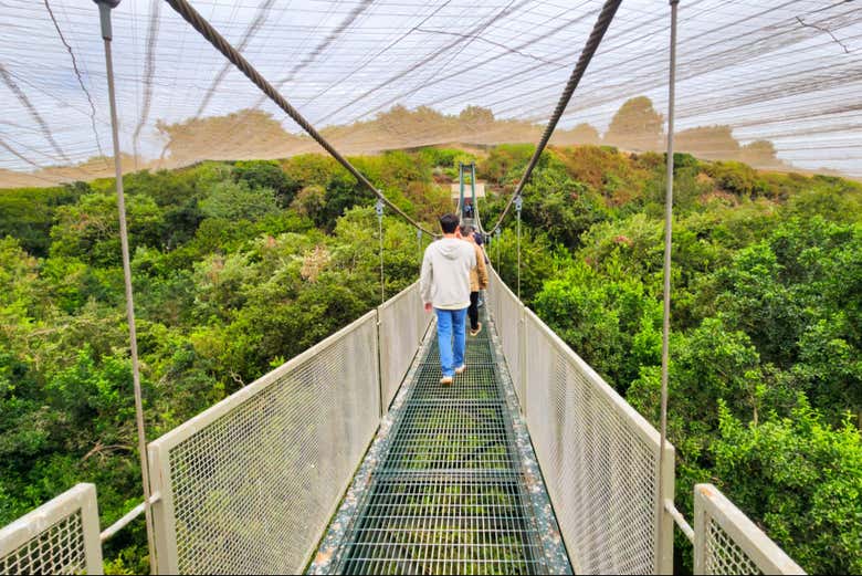 Excursión al Parque Tricao y Viña Undurraga - Galería 1