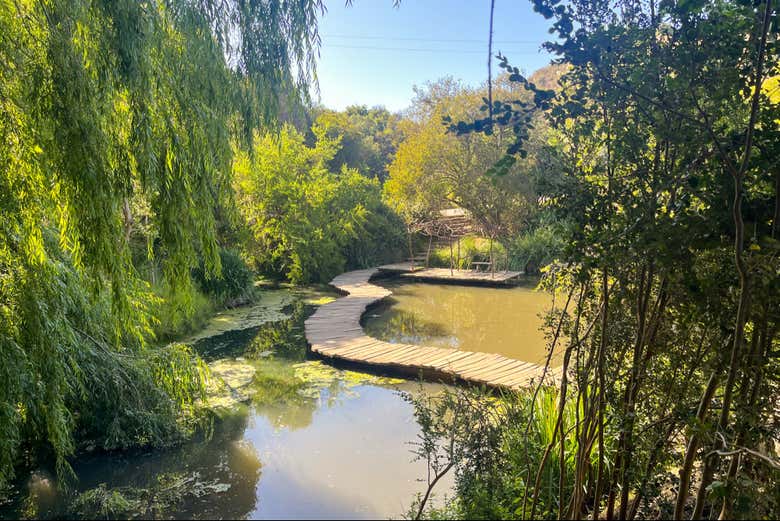 Excursión al Parque Tricao y Viña Undurraga - Galería 2