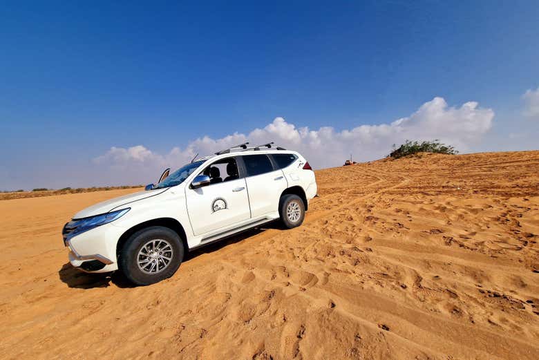 Tour en 4x4 por Sandwich Harbour