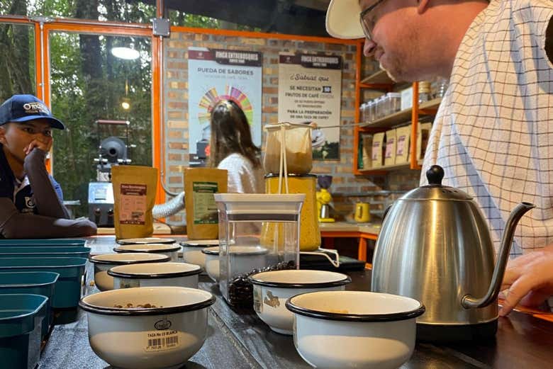 Excursión al Valle de Cocora + Visita a una finca cafetera