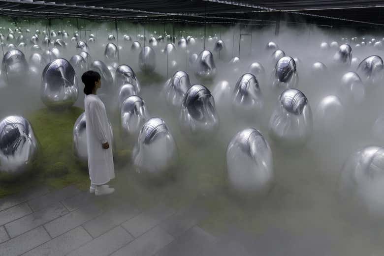 Entradas a TeamLab Planets Tokyo