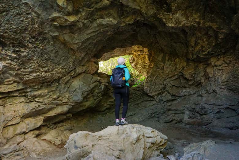 Trekking por el Cerro Benítez