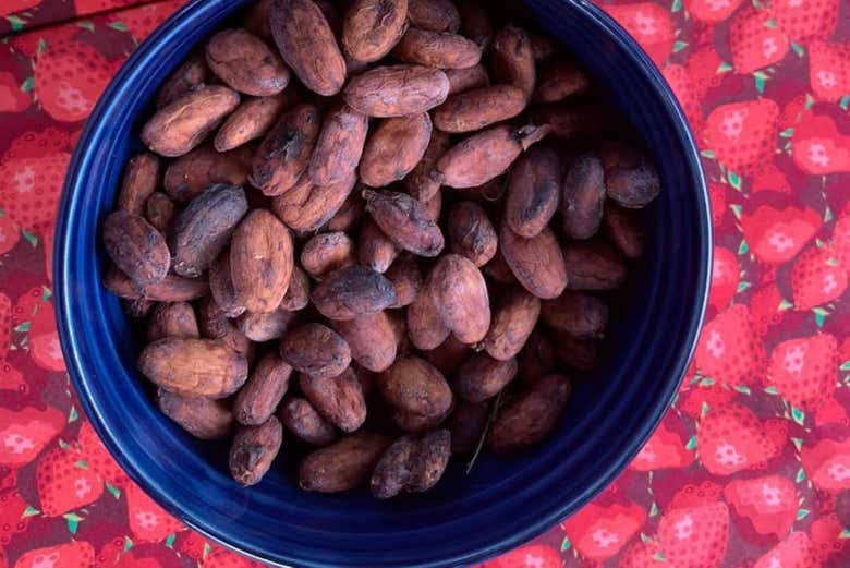 Visita a una finca de cacao