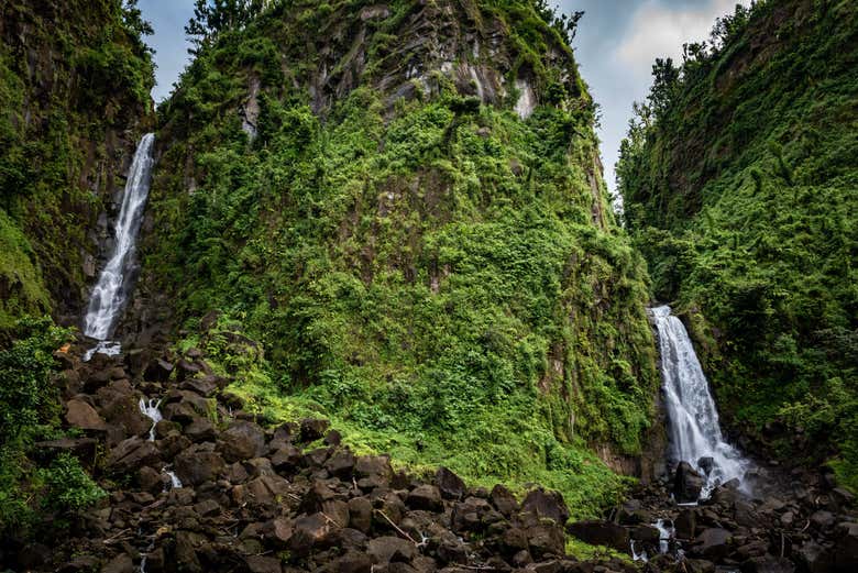 Excursión a Titou Gorge, cascadas de Trafalgar y Wotten Waven