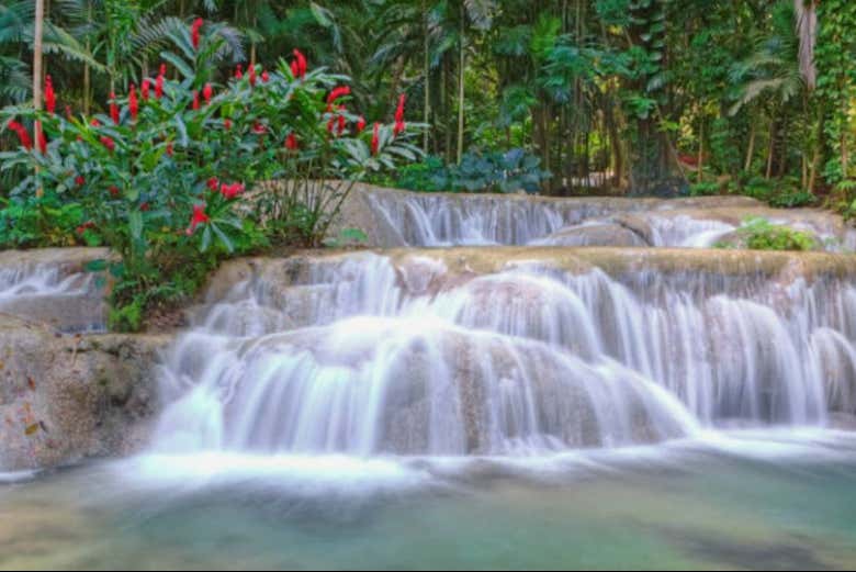 Excursión a las cataratas Mayfield Falls