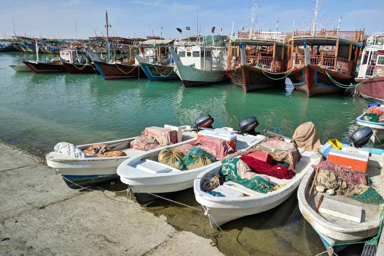 Tour privado por el norte de Catar