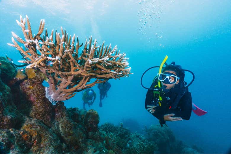 Bautismo de buceo en el Mar Rojo