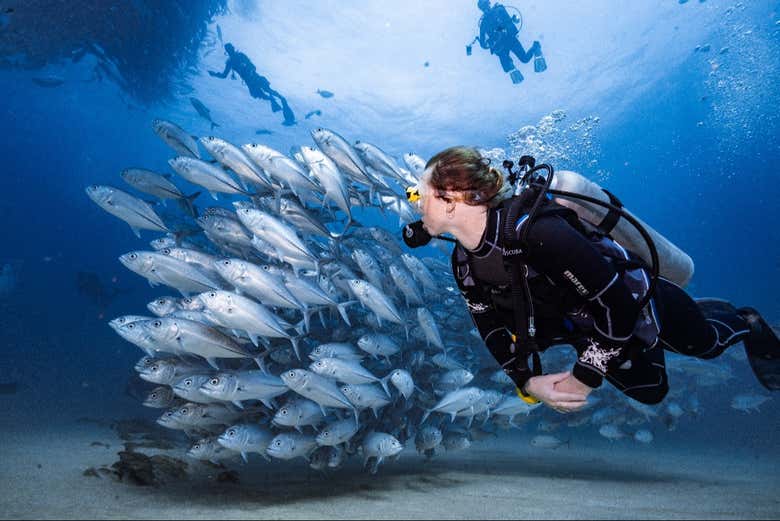 Bautismo de buceo en el Mar Rojo