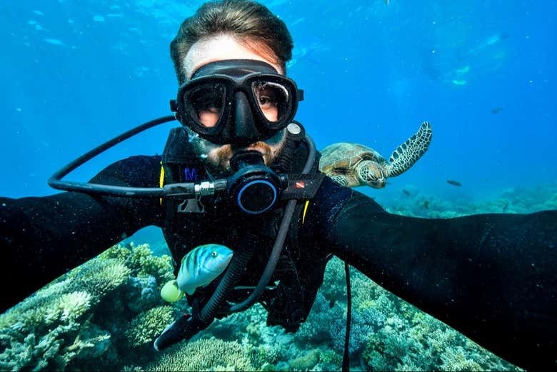 Bautismo de buceo en el Mar Rojo