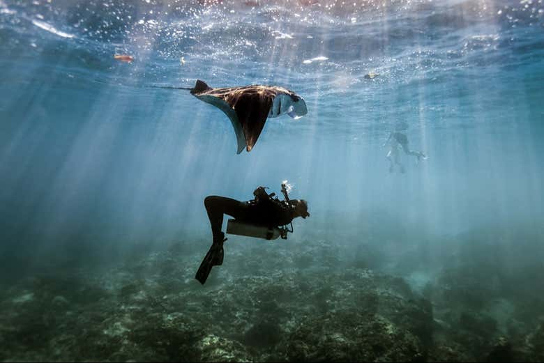 Bautismo de buceo en el Mar Rojo