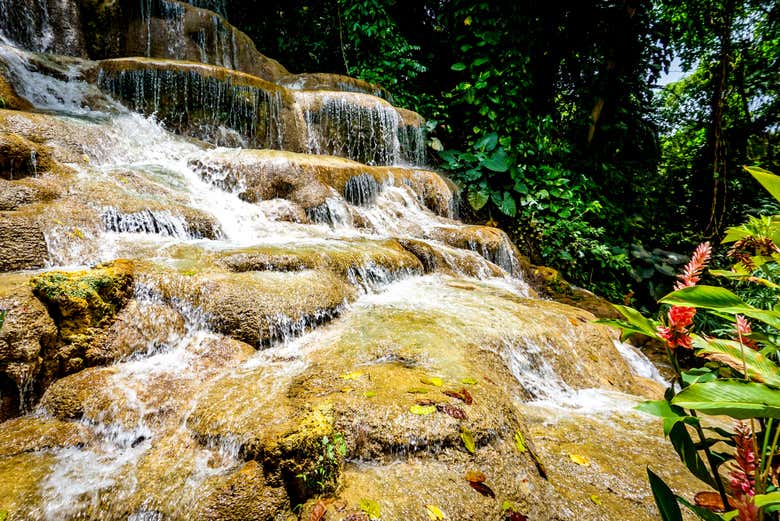 Excursión a las cataratas Konoko Falls y las cuevas de Green Grotto