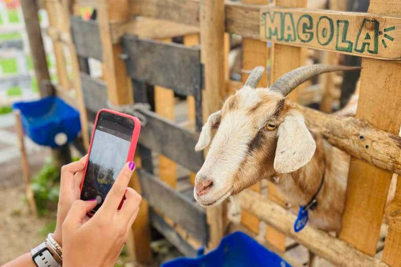 Tour de la leche por los pueblos del norte de Antioquia