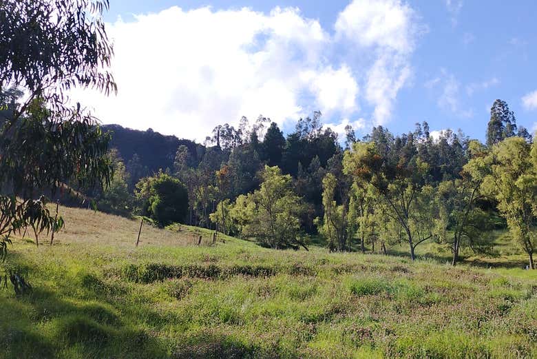 Senderismo por los bosques de Turmequé