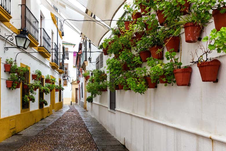 Tour privado por Córdoba con visita a la Mezquita y el Alcázar