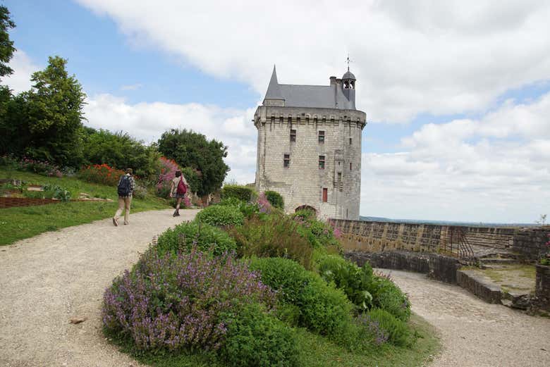 Excursión a Chinon + Visita a dos bodegas del Loira