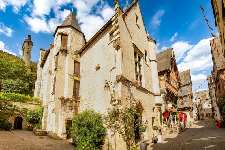 Excursión a Chinon + Visita a dos bodegas del Loira