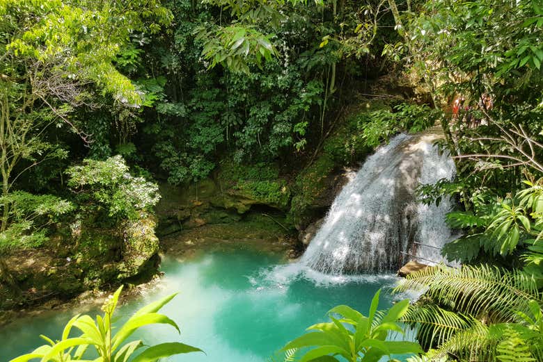 Excursión al Agujero Azul + Tubing en el río Bueno