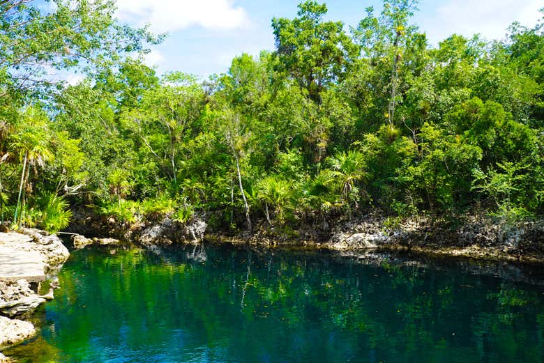 Excursión a Playa Larga y la cueva de los Peces