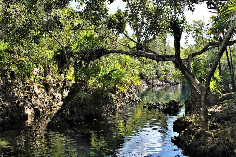 Excursión a Playa Larga y la cueva de los Peces