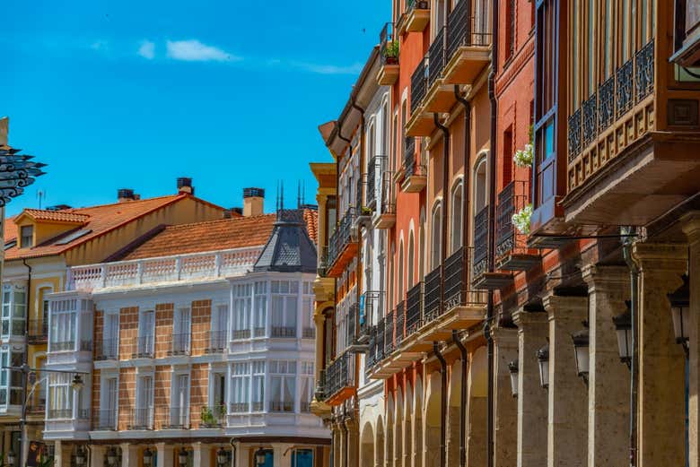 Free tour de los misterios y leyendas de Palencia