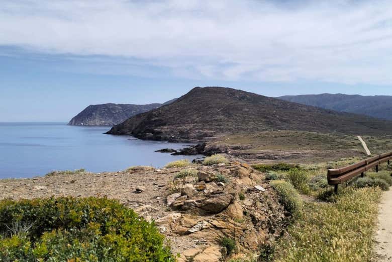 Excursión a Asinara en grupo reducido