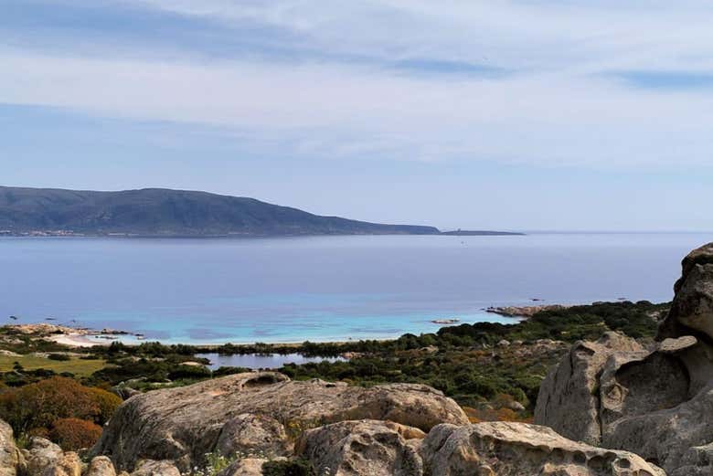 Excursión a Asinara en grupo reducido