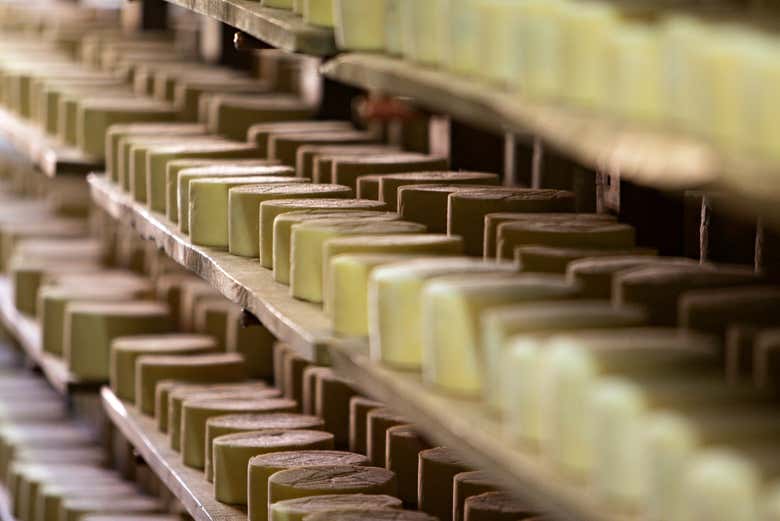 Visita a la quesería Campoveja + Taller de queso