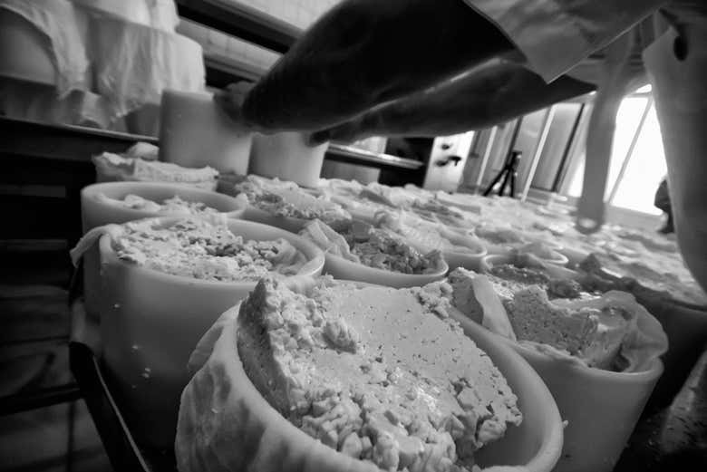 Visita a la quesería Campoveja + Taller de queso