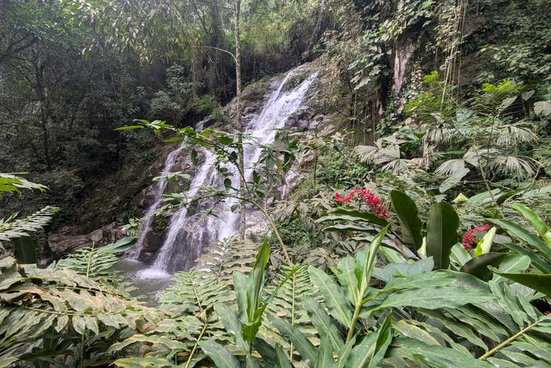Senderismo por las cascadas de Minca