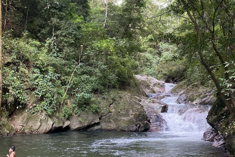 Senderismo por las cascadas de Minca
