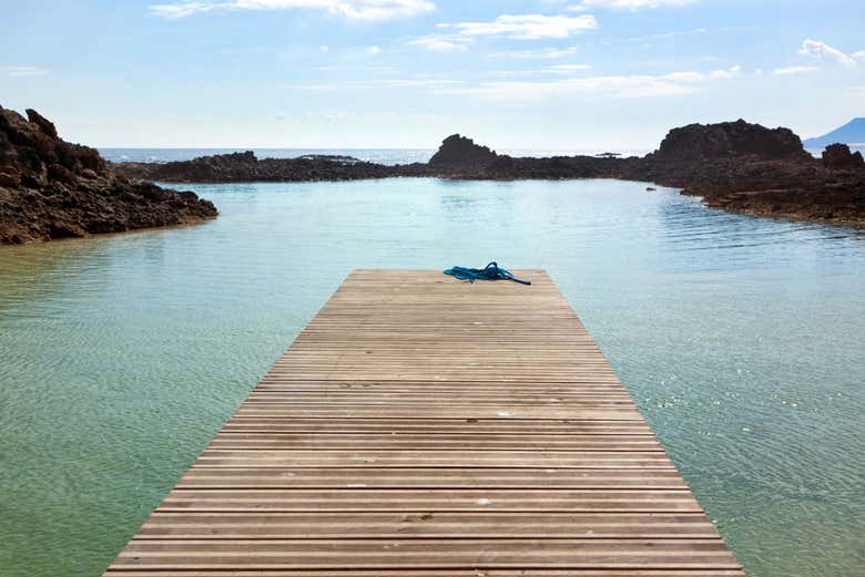 Excursión a la isla de Lobos